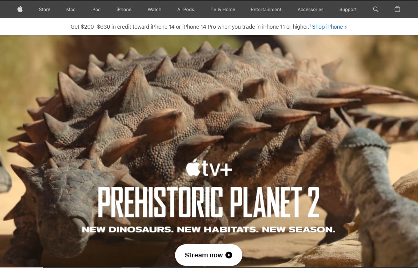 A video on the first website page